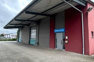 Büro zu mieten in 49699 Lindern, Lagerhalle mit Büroabteil in Lindern zu vermieten