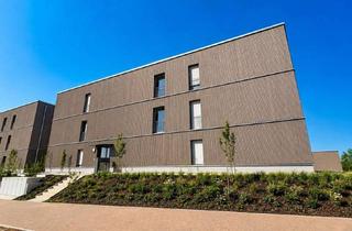 Wohnung mieten in 74613 Öhringen, 3-Zimmer-Wohnung-Neubau in Öhringen zum mieten!