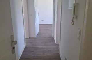 Wohnung mieten in An Den Birnbäumen 27, 37671 Höxter, 2-Zimmer-Wohnung mit Balkon im 2. Obergeschoss in Höxter sucht Mieter
