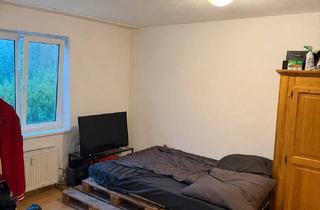 Wohnung mieten in Jungerhalde 75, 78464 Konstanz, Teilmöblierte 1 Zimmer-Wohnung für Studierende