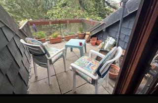 Wohnung mieten in 21502 Geesthacht, Gemütliche lichtdurchflutete 2-Zi.-Wohnung in Geesthacht mit Vollb.,EBK u.Dachterrasse zu vermieten