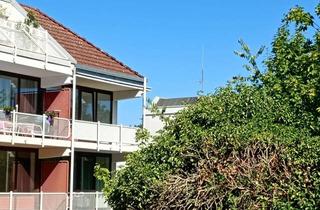 Wohnung mieten in 76887 Bad Bergzabern, Schönes, helles 1-Zimmer Apartment mit Einbauküche und PKW-Stellplatz in Bad Bergzabern