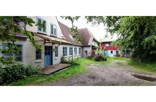 Haus kaufen in Kappelner Strasse 22, 24975 Husby, Resthof mit 2 Wohneinheiten bei Husby