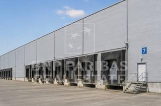 Gewerbeimmobilie mieten in 94315 Hofstetten, Hochmoderne Logistikhalle in Straubing - Neubau