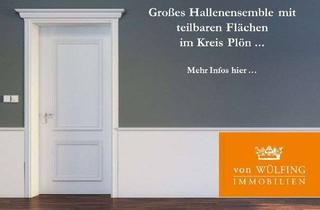 Gewerbeimmobilie kaufen in 24306 Plön, Großes Hallenensemble mit teilbaren Flächen im Kreis Plön...