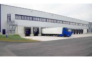 Gewerbeimmobilie mieten in 68766 Hockenheim, 10.000 bis 20.000 m² Logistikhalle sofort 24/7, 12 m Höhe, 20 Rampentore, WGK 3-Lagerung