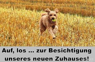 Grundstück zu kaufen in 89558 Böhmenkirch, *** Sonniges Traumgrundstück mit ca. 1086 qm ***