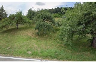 Grundstück zu kaufen in Im Seitzental 28, 75387 Neubulach, Bauplatz - Südhang mit Obstbaumbestand