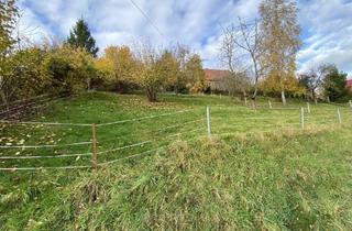 Grundstück zu kaufen in 01665 Triebischtal, Baugrundstück in Klipphausen