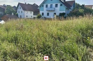 Grundstück zu kaufen in 86911 Dießen, Baugrundstück in Dießen-Dettenschwang