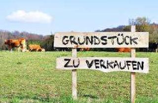 Grundstück zu kaufen in 76532 Haueneberstein, Sonniges Baugrundstück in ruhiger Lage von Haueneberstein