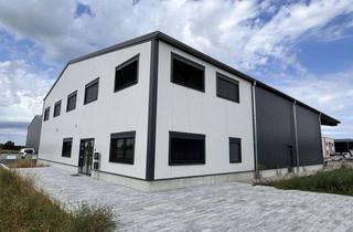 Büro zu mieten in 86672 Thierhaupten, tolle Büroflächen - optional mit Hallenfläche!