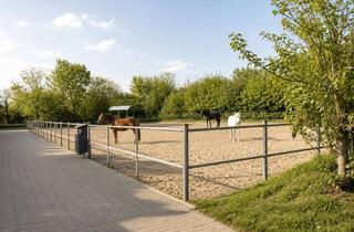 Immobilie kaufen in 25494 Borstel-Hohenraden, Reitanlage mit Entwicklungspotenzial auf über 34.000 m² Grundstück