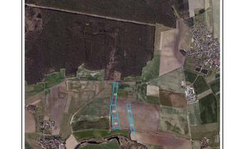 Gewerbeimmobilie mieten in 06774 Schwemsal, Ausschreibung Verpachtung in Gem. Schwemsal; Ausschreibungsunterlagen beachten!