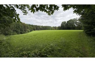 Gewerbeimmobilie kaufen in 85567 Grafing, Grünland, landwirtschaftliche Fläche