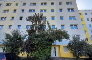 Wohnung mieten in Praetoriusstraße, 06124 Südliche Neustadt, Hübsche Ein-Raum-Wohnung im Erdgeschoss mit Terrasse und Einbauküche