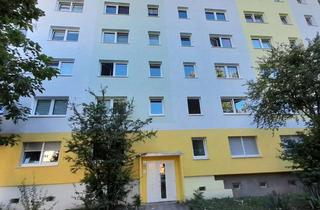 Wohnung mieten in Praetoriusstraße, 06124 Südliche Neustadt, Hübsche Ein-Raum-Wohnung im Erdgeschoss mit Terrasse und Einbauküche