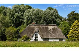 Haus kaufen in 25832 Tönning, **Nordseetraum hinterm Deich – charmante Reetdachkate mit Garten und optionaler Naturfläche**