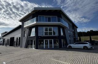 Büro zu mieten in Allendorfer Straße 58, 35708 Haiger, Repräsentative Gewerbeeinheit mit Büro und Hallenfläche 523m² in Haiger