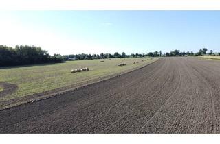 Immobilie kaufen in 26434 Wangerland, Das letzte Baugrundstück in Hooksiel! Hohe Weg Nr 34 mit 524m²