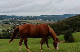 Haus kaufen in 67681 Wartenberg-Rohrbach, Wartenberg-Rohrbach - Leben in der Natur - Resthof in Alleinlage