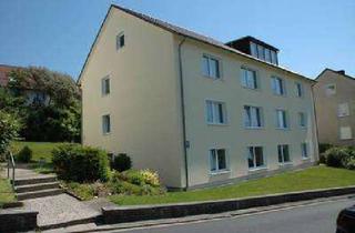 Wohnung mieten in Carl-Heise-Str. 10/DG links, 31061 Alfeld, Sonnige Dachgeschosswohnung mit tollem Ausblick!