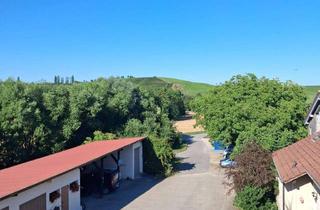 Wohnung mieten in 74251 Lehrensteinsfeld, Wohnen auf dem Bauernhof 3,5 Zimmer Maisonettewohnung 93 m² in Lehrensteinsfeld