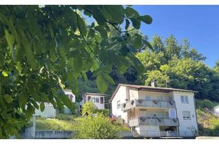 Einfamilienhaus kaufen in 78132 Hornberg, Großzügiges 7-Zi.-Einfamilienhaus in unverbaubarer, naturnaher Traumlage mit Wald und Quelle