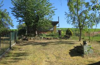 Grundstück zu kaufen in 74189 Weinsberg, Großzügiges Freizeitgrundstück