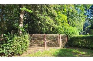 Grundstück zu kaufen in 08606 Bösenbrunn, Ein Paradies für Naturliebhaber!