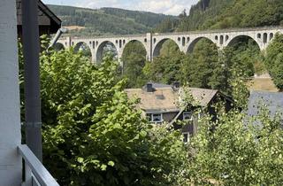 Wohnung kaufen in 34508 Willingen, Viaduktblick in Willingen-Stryck: EG 2-Zimmer-Ferienwohnung mit Balkon, Stellplatz