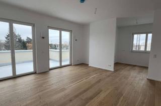 Wohnung mieten in 10318 Karlshorst, 4-Zimmer-Wohnung in Karlshorst mit Dachterrasse und Blick auf Naturschutzgebiet