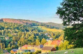 Haus kaufen in 01855 Sebnitz, Wohn- und Geschäftshaus in traumhafter Lage!