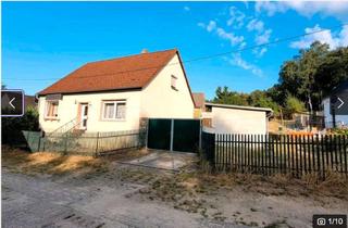 Einfamilienhaus kaufen in 06889 Lutherstadt Wittenberg, Einfamilienhaus mit großem Grundstück, Nebengelass, Werkstatt, Brunnen