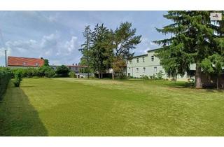 Haus kaufen in 39439 Güsten, Ihr neues Familiendomizil mit XL-Garten und unendlichem Potenzial!