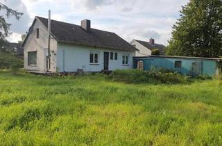 Einfamilienhaus kaufen in 25436 Uetersen, Uetersen - Einfamilienhaus mit großem Grundstück