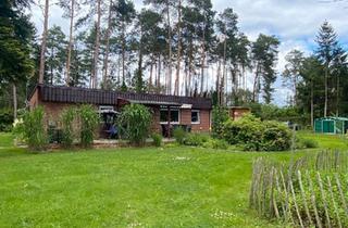 Haus kaufen in 29308 Winsen, Winsen (Aller) - Ferienhaus mit Erstwohnsitz auf großem Grundstück