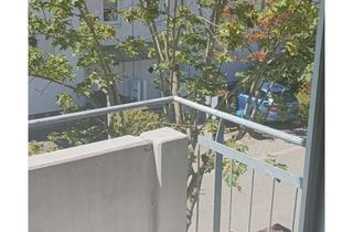 Wohnung kaufen in 63110 Rodgau, Traumwohnung mit neuen Bädern, zwei Balkonen geeignet für Eigennutzung oder als gute Kapitalanlage