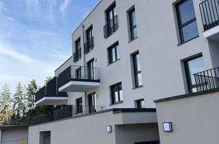 Wohnung mieten in Stromberger Straße 47A, 55411 Bingen, Luxuriöse 2 Zimmer Wohnung mit Balkon im 2. OG in Bingen am Rhein - NEUBAU