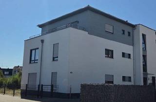 Penthouse mieten in 56743 Mendig, Seniorengerechte 2-Zimmer-Penthouse-Wohnung mit überragendem Blick über Mendig zu vermieten