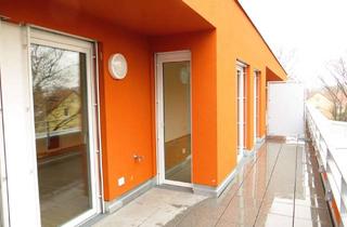 Wohnung mieten in 51145 Porz, Helle und moderne Wohnung mit Südterrasse in ruhiger Lage von Köln-Porz