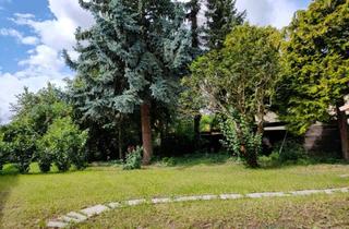 Wohnung mieten in Schöne Aussicht 36a, 55546 Hackenheim, Neuwertige, attraktive 2-Zimmer-Wohnung mit Terrasse und Gartenanteil in Hackenheim