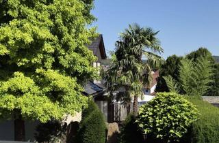 Haus kaufen in 75056 Sulzfeld, Karibik Feeling mit Blick auf die Ravensburg