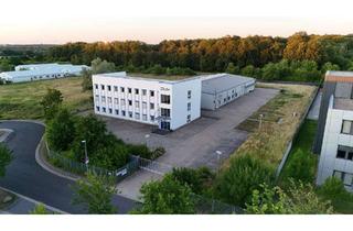 Büro zu mieten in Brandgehaege 28, 38444 Hattorf, Gewerbe- und Produktionshalle inkl. Bürogebäude Lagerhalle Miete