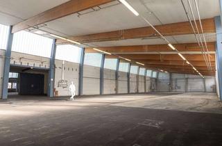 Gewerbeimmobilie mieten in Lohwasenweg, 74206 Bad Wimpfen, Lager-/Industrie-/ Produktionshalle mit Freifläche in Bad Wimpfen
