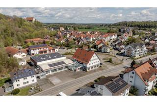 Gewerbeimmobilie kaufen in 88447 Warthausen, 360° | Attraktives Wohn- und Gewerbeensemble mit Werkstatt, Lagerflächen und 8 Wohneinheiten