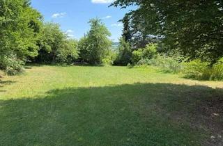 Grundstück zu kaufen in Flurstraße 4, 84378 Dietersburg, Baugrundstück im Bäderdreieck in Peterskirchen der Gemeinde Dietersburg, ein Idyll in Ortsrandlage
