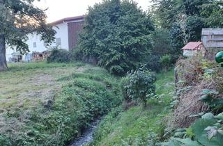 Wohnung mieten in 64678 Lindenfels, Viel Platz für die Familie – 6 Zimmer, Garten & frisch renoviert
