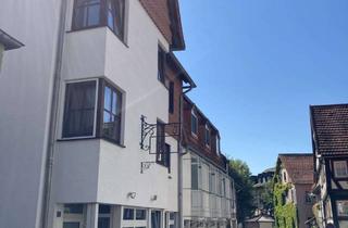 Wohnung mieten in Schnepfenhain, 36404 Vacha, Modernes Wohnen im Herzen von Alsfeld – 3 ZKB ab 01.10. frei !