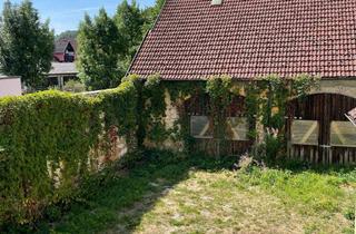 Haus kaufen in 92287 Schmidmühlen, Gewerbe/Wohnimmobilie in zentraler Lage